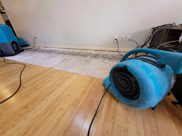 Professional Sewage Cleanup technician working in Marion, OH